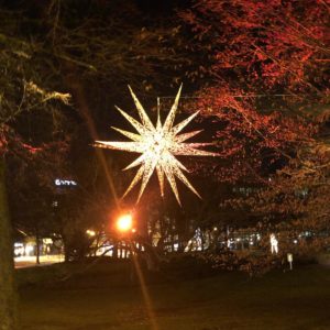 Weihnachtsstern vor unserem Büro Am Wall in Bremen