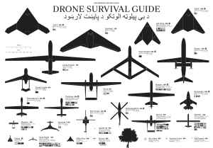 Drone Survival Guide drone overview