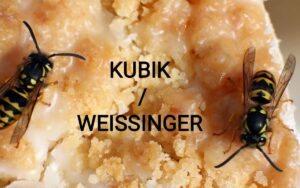 Titelmotiv Kubik Weissinger Wespen in der Geisterbahn